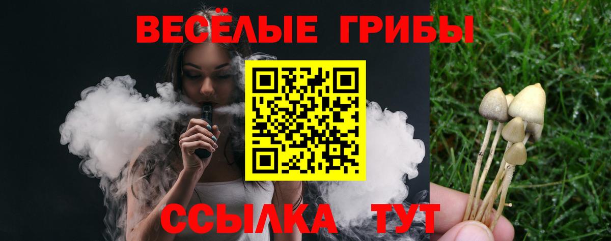 Псилоцибиновые грибы мухоморы  Вход с VPN  Невинномысск  Псилоцибиновые грибы прущие грибы 